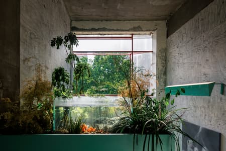 Seventeen TeaHouse